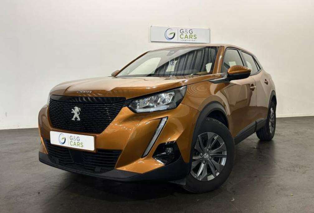 Peugeot Active