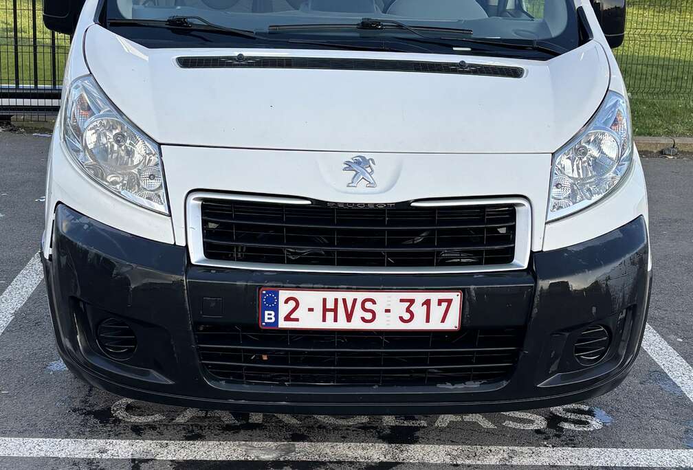 Peugeot HDI 110 lang verglast