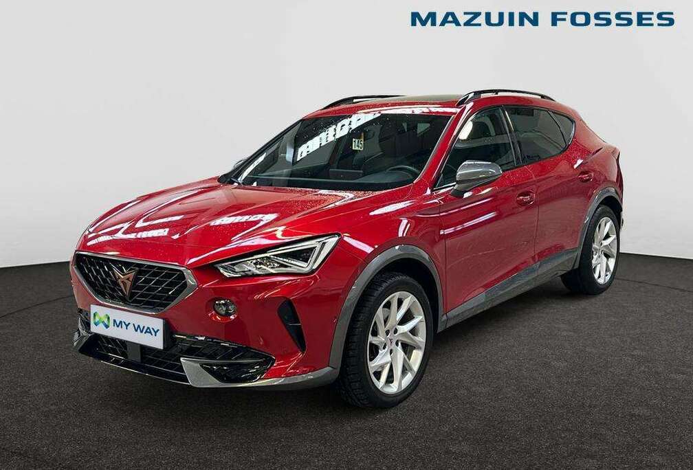 Formentor 1.5 TSI 150CV (110kW) DSG v EURO 6 AP