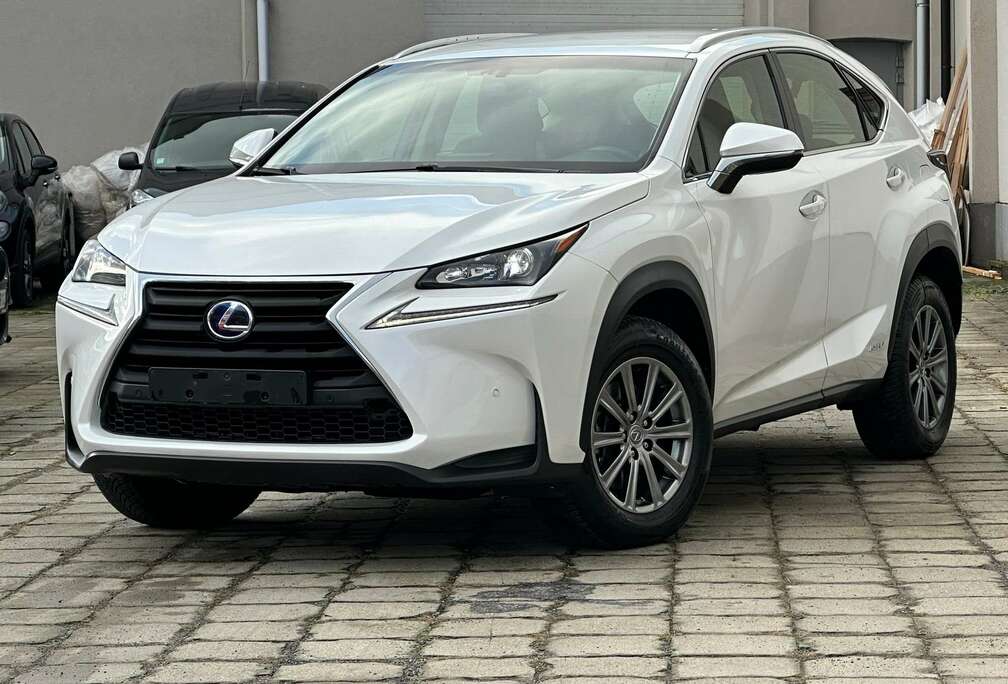 Lexus NX 300h 2.5i AWD Business Edition E-CVT