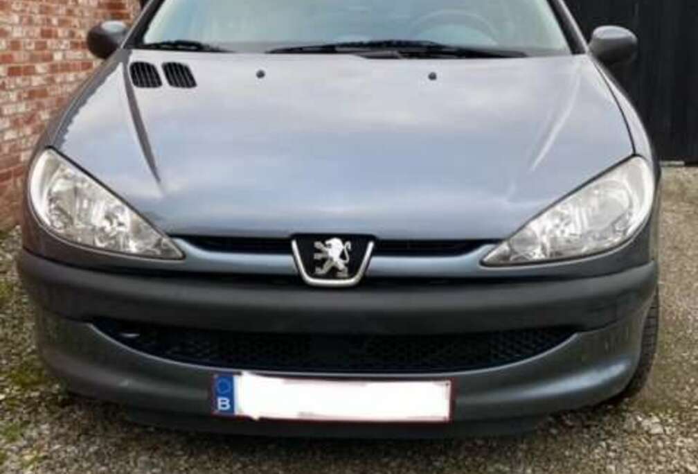 Peugeot 206 75 Petit Filou