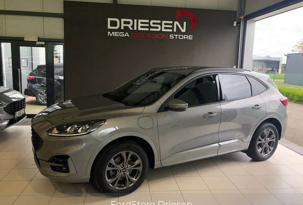 Ford ST-Line PHEV AUT  BIJ DRIESEN BREE   089/461610