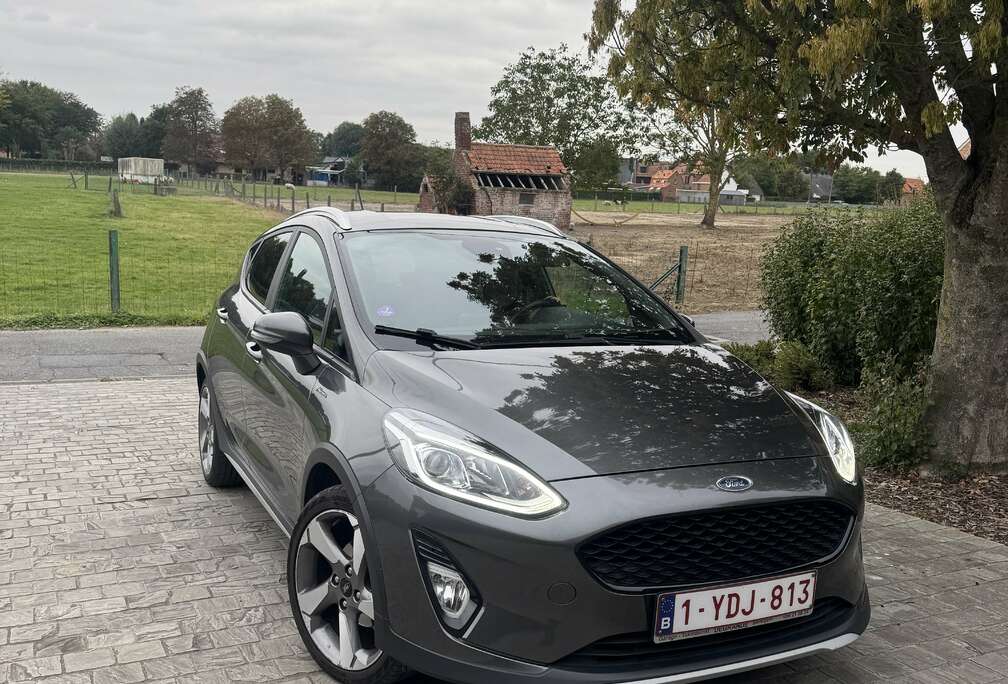 Ford Active 1.0 EcoBoost 1 (EU6.2)