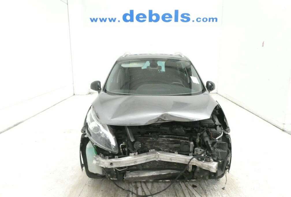 Renault Scenic Iii Bose Edit