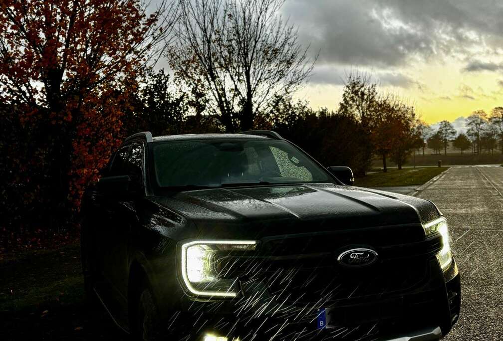 Ford 2.0 EcoBlue e-4WD Wildtrak