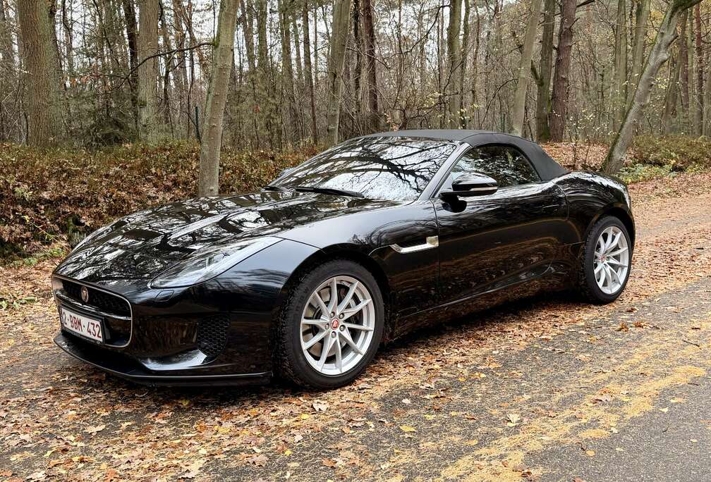 Jaguar