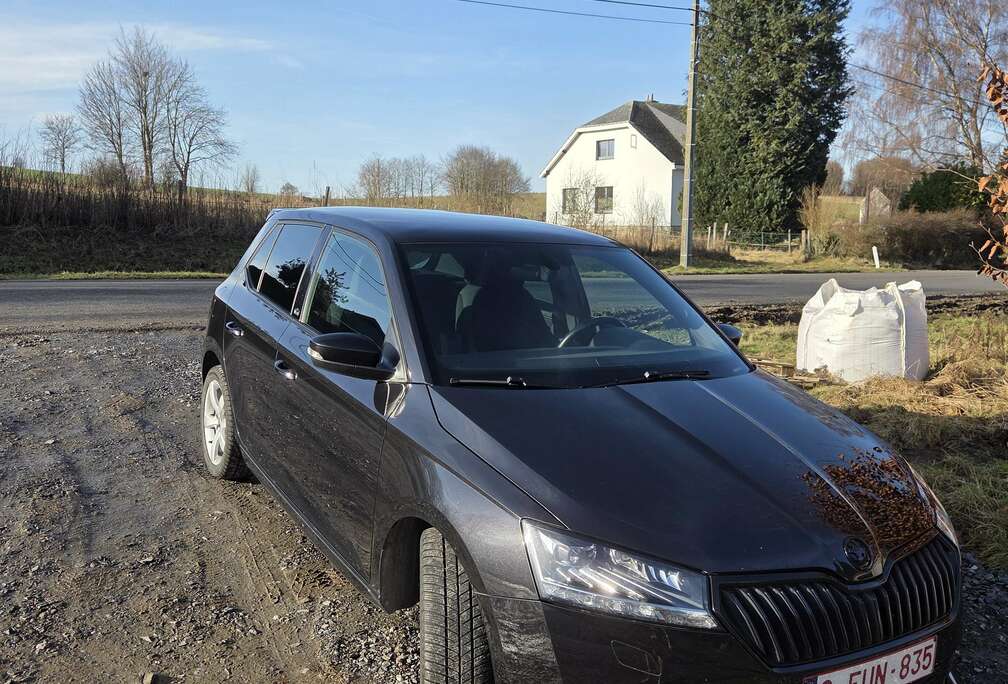 Skoda Fabia 1.0 TSI Monte Carlo (EU6AP)