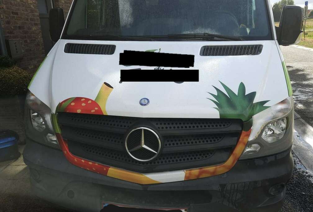 Mercedes-Benz 313 CDI avec élévateur