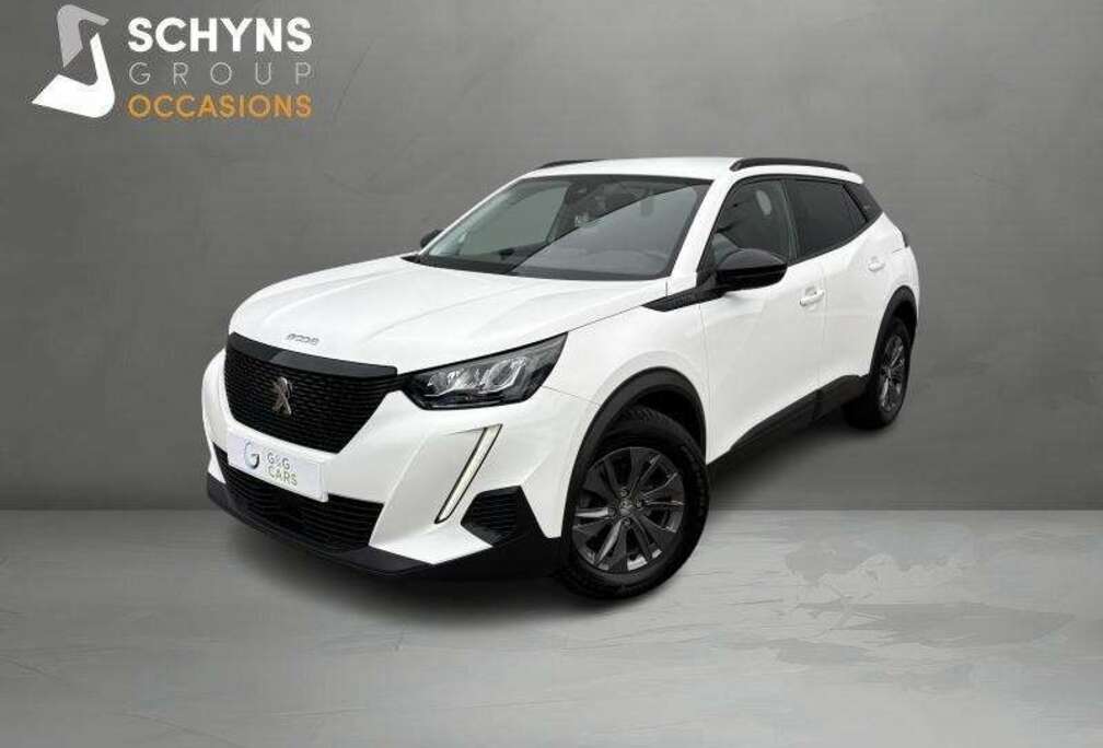 Peugeot Style