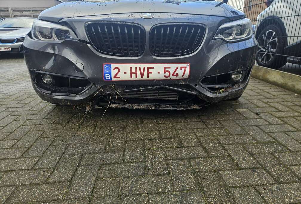 BMW Coupé dA AdBlue