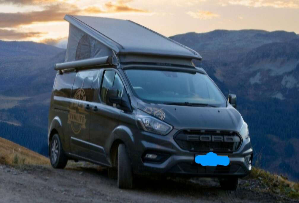 Ford 2.0 TDCi L2H1 Trend S/S (EU6.2)