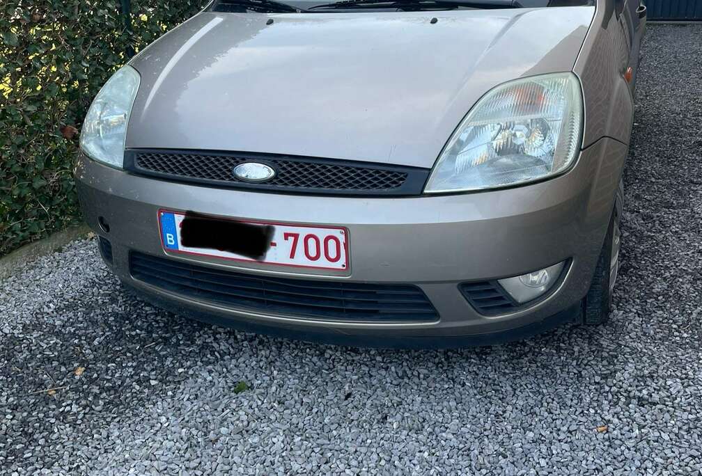 Ford 1.4 Turbo TDCi Ambiente