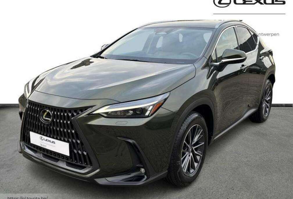 Lexus Executive Line + HUD