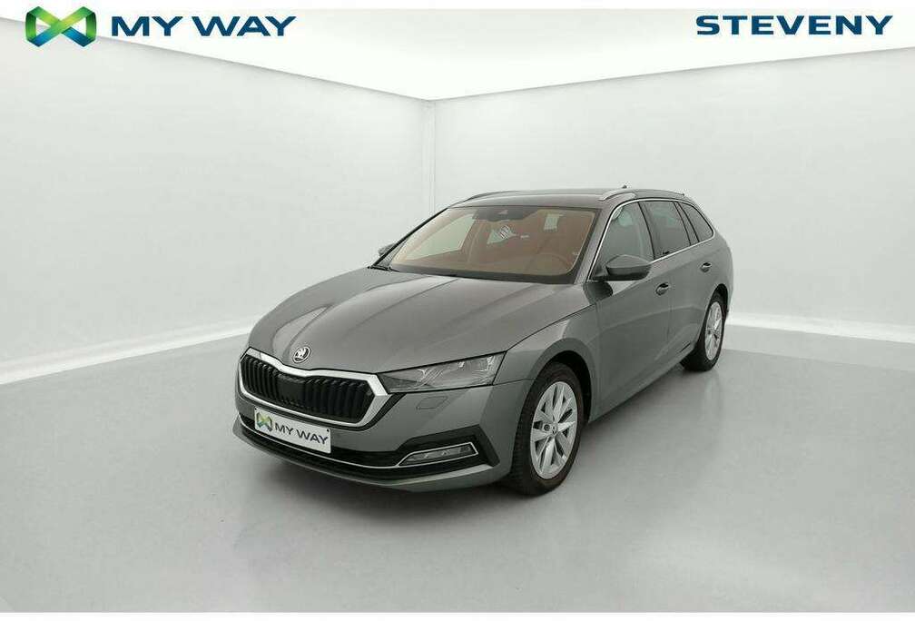 Skoda Clever+ 1.0 TSI m-HEV 81kW (110pk) DSG7