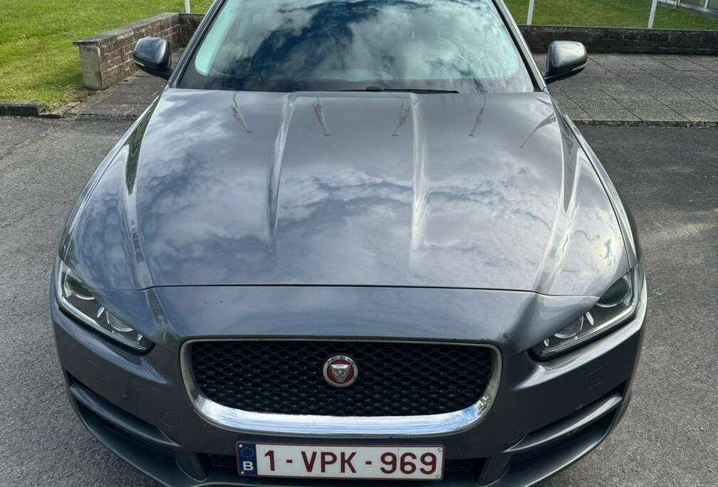 Jaguar XE 2.0 D E-Performance Business Ed.Prestige