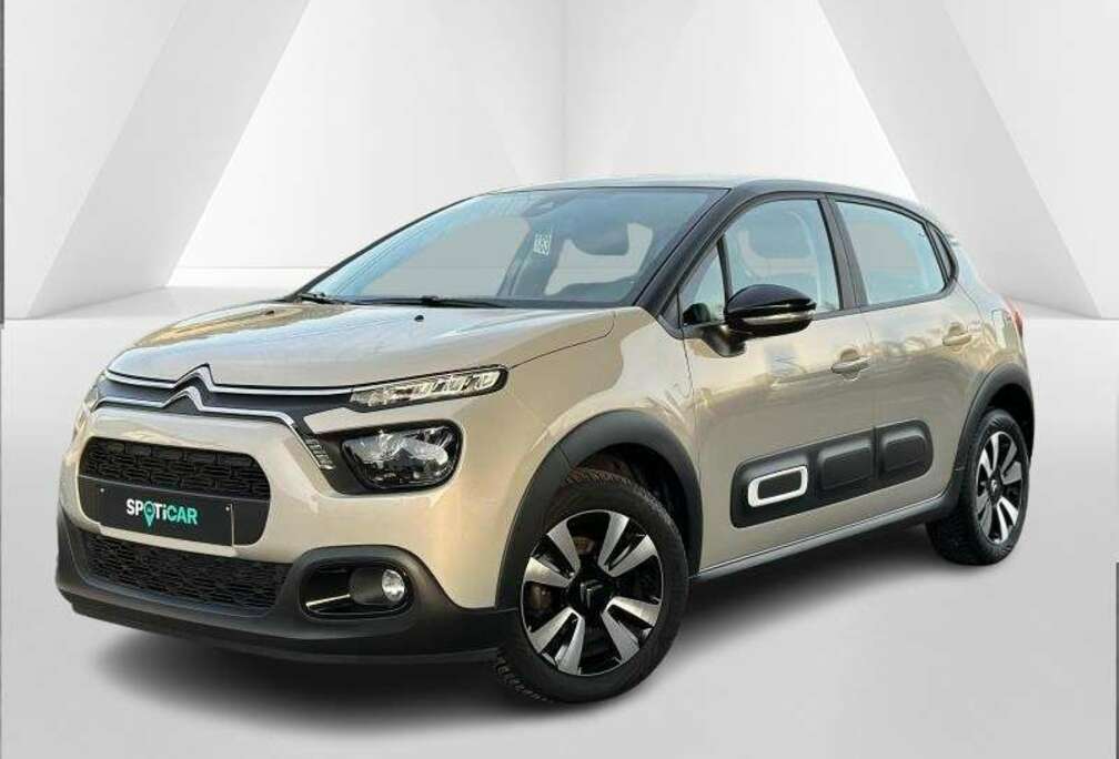 Citroen Max