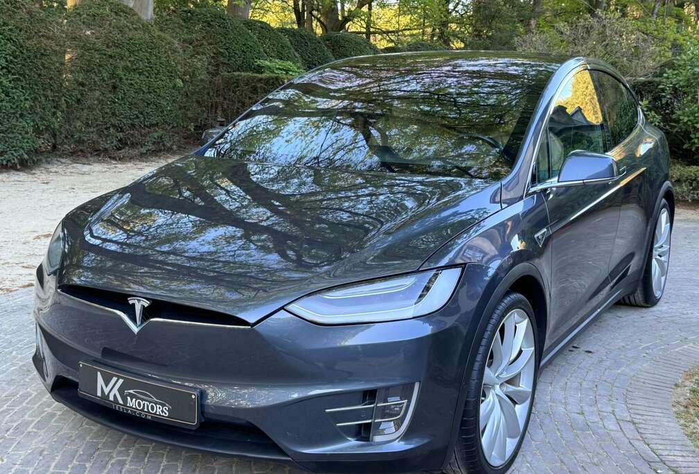Tesla 90D Dual Motor  7 Seats  22\