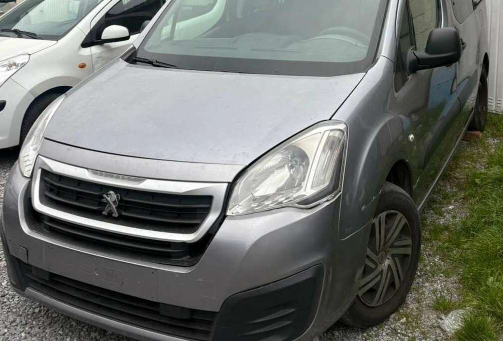 Peugeot Tepee Outdoor 1.6 HDi FAP