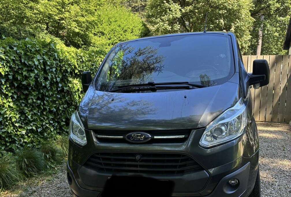 Ford 2.2 TDCi L1H2 Trend