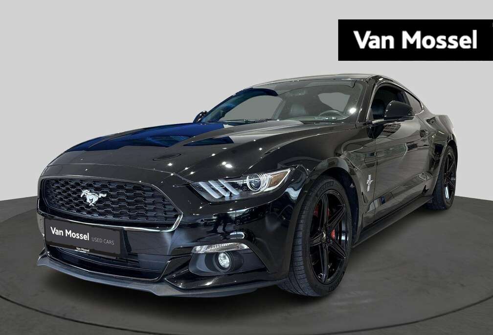 Ford 2.3i EcoBoost  50 Years Edition  Automaat