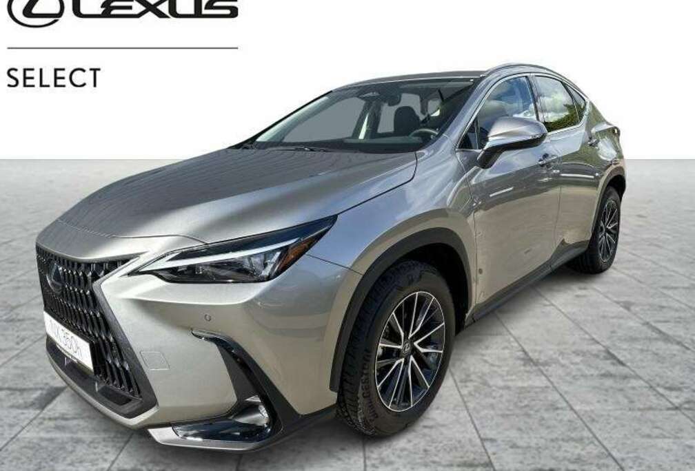 Lexus Business Line