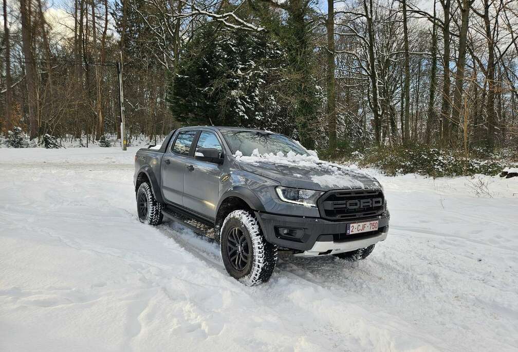 Ford 2.0 BiT EcoBlue Raptor (EU6.2)