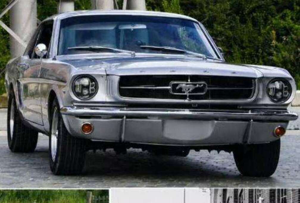 Ford 1965 Ford Mustang Hard Top 298CI V8