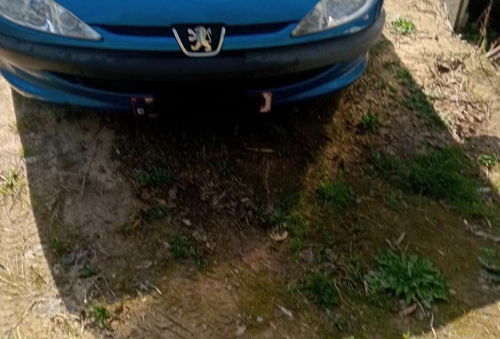 Peugeot SW 1.4i Enfant Terrible