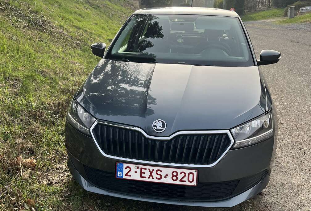 Skoda 1.0i Active
