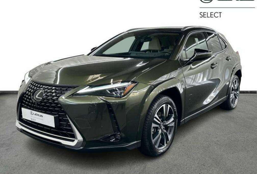 Lexus Privilege Line 2WD