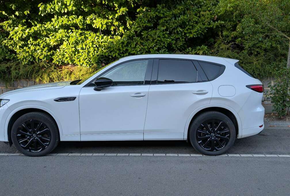 Mazda 2.5 e-Skyactiv PHEV AWD Homura (240 kW)
