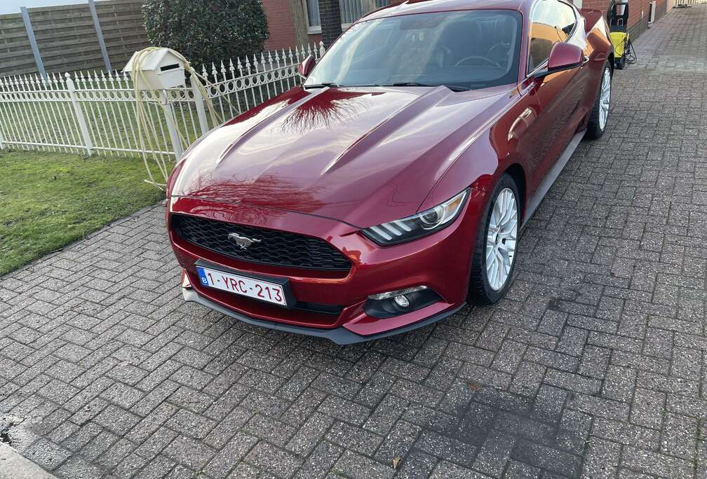 Ford 2.3 Eco Boost