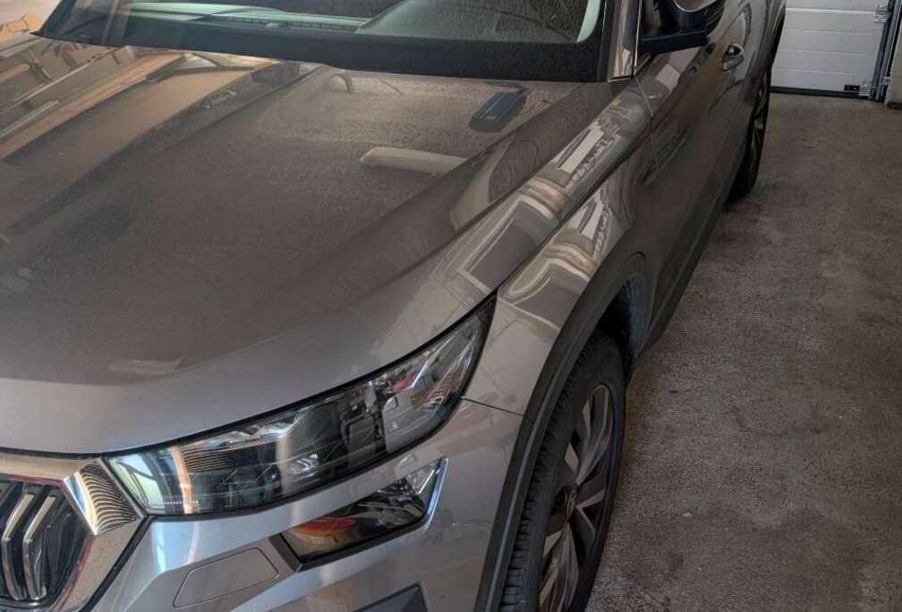Skoda Kodiaq 2.0 CR TDi 4x4 Clever 7pl. DSG