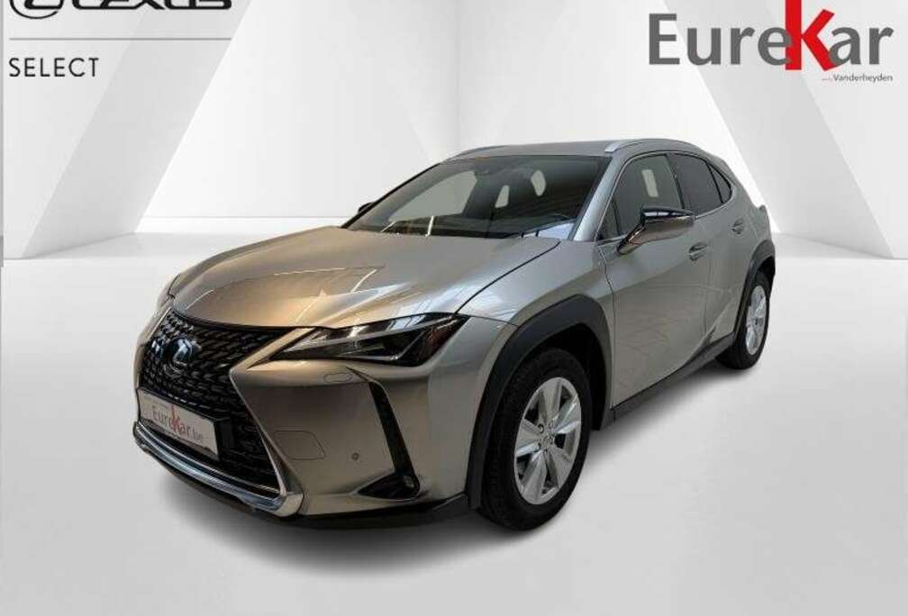 Lexus Business Line