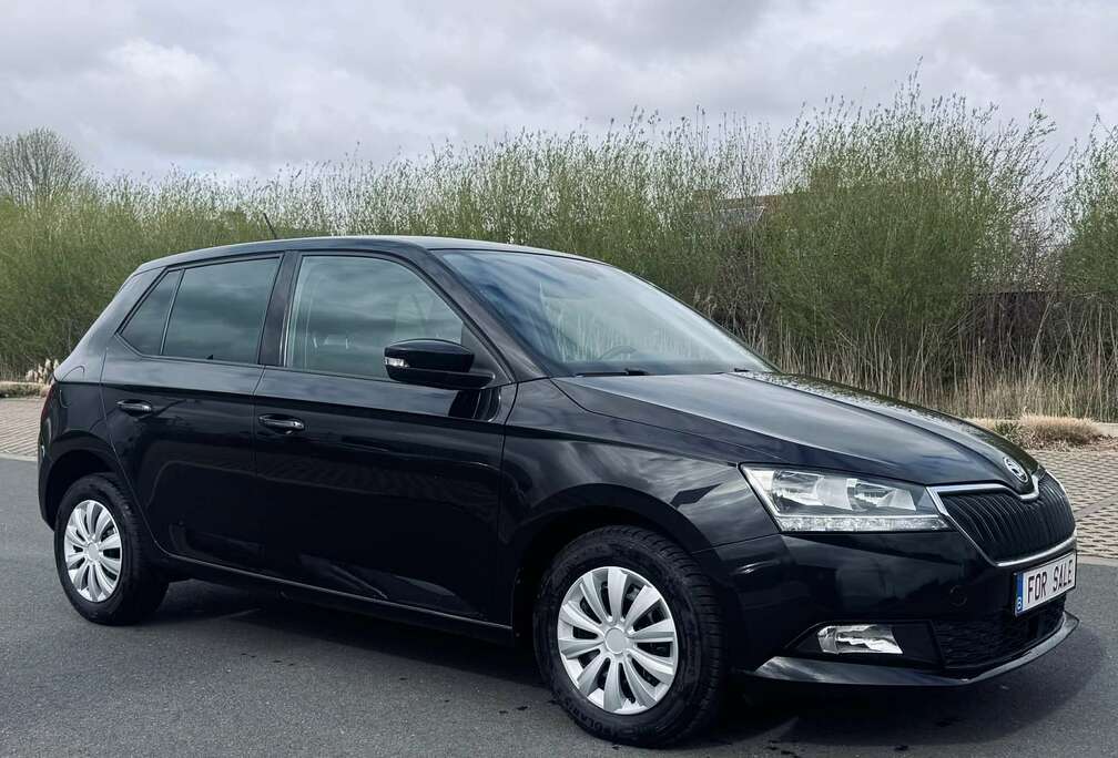 Skoda Fabia 1.0 TSI Style I TOPSTAAT