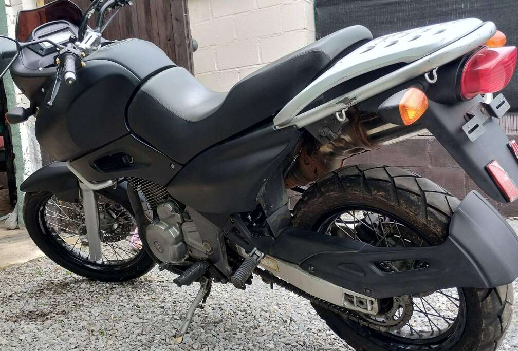 Suzuki freewing
