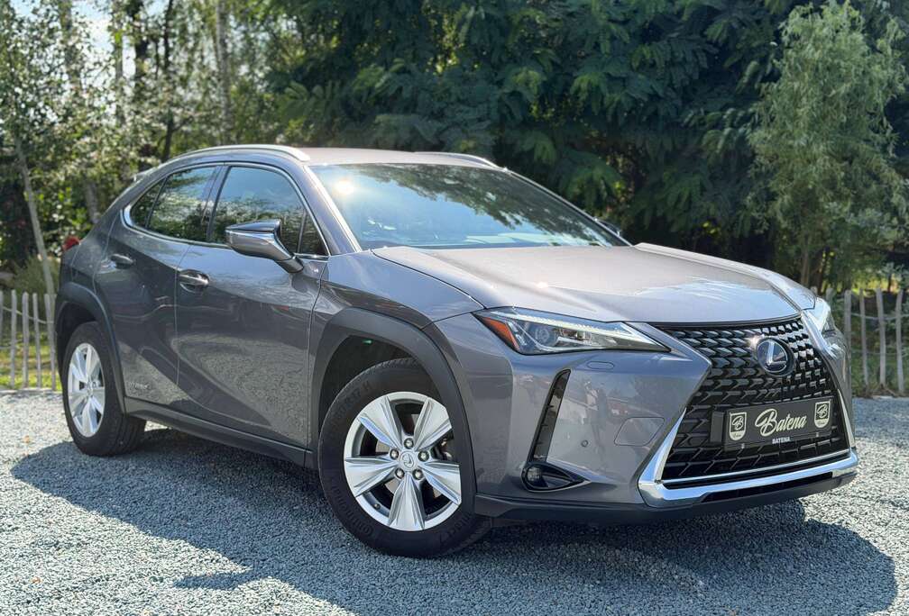 Lexus Garantie tot 12/2029 Zeer nette staat