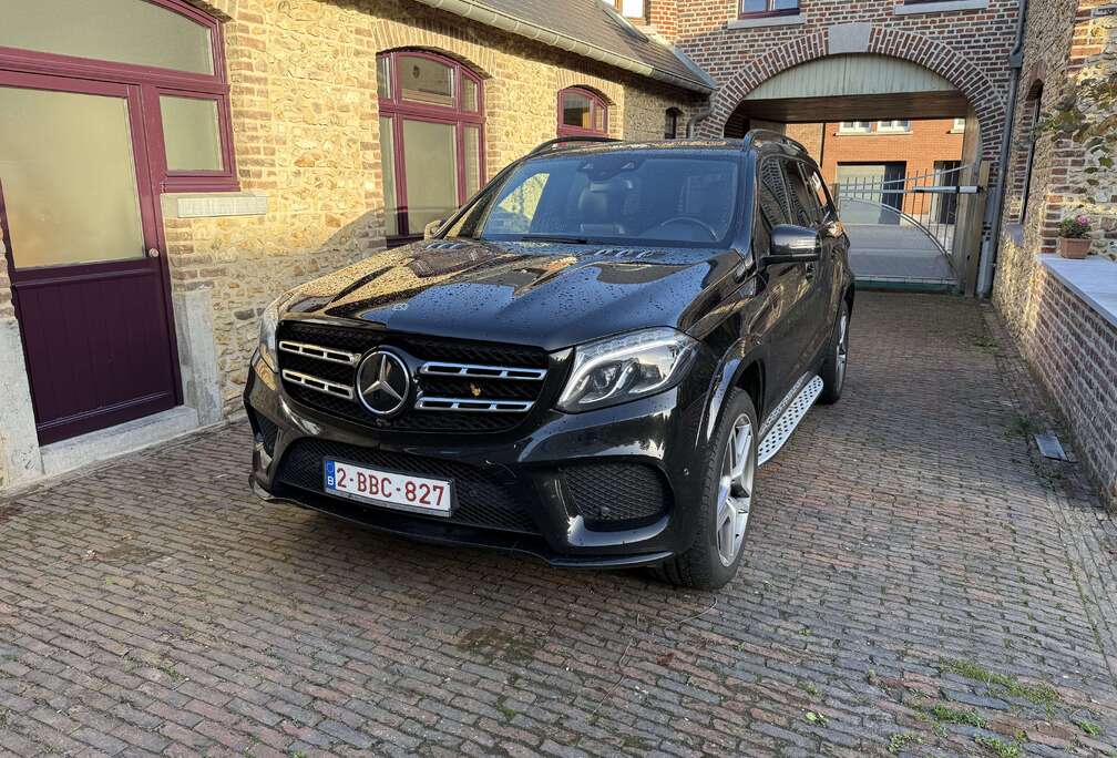 Mercedes-Benz d 4-Matic Lichte Vracht, zetels aanwezig