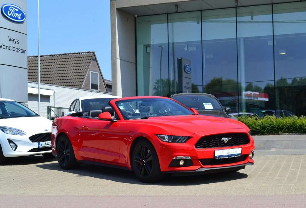 Ford Cabrio 2.3i