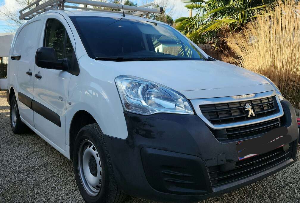 Peugeot 1.6 BlueHDi L2H1 Pro 121 S/S