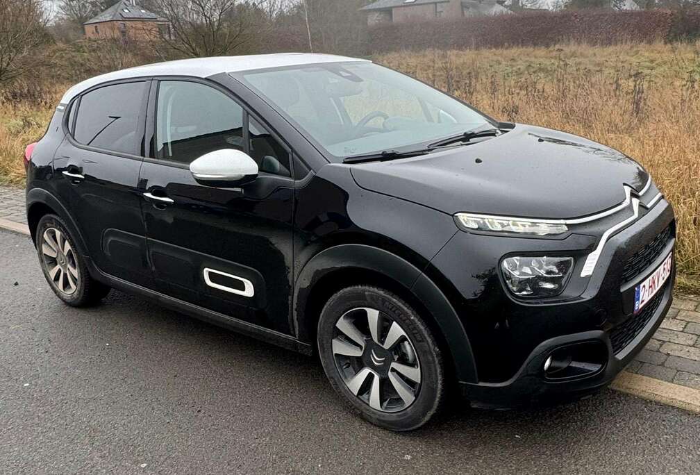 Citroen Max