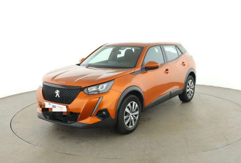 Peugeot Style