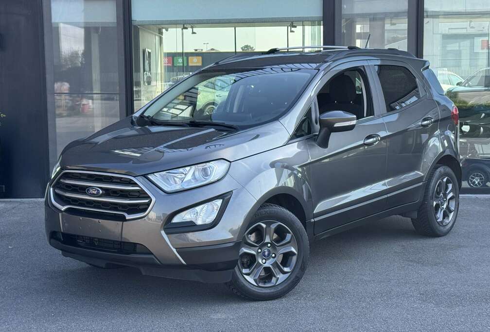 Ford BUSINESS CLASS  1.0 EcoBoost - 125 PK  GPS + CAMERA