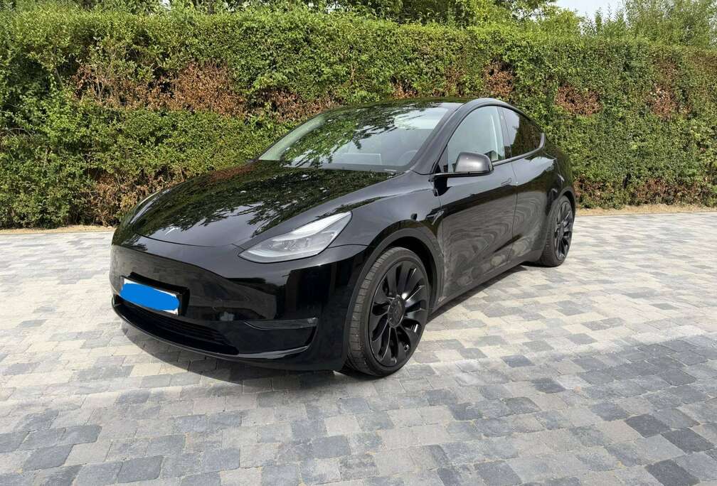 Tesla Model Y Performance (393 kW)