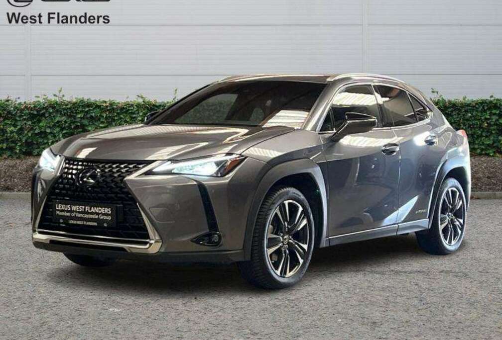 Lexus Executive Line