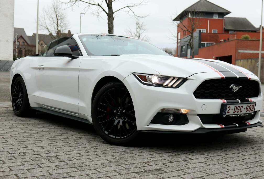 Ford Mustang Ecoboost Cabrio  V8-sound  Belgische wagen