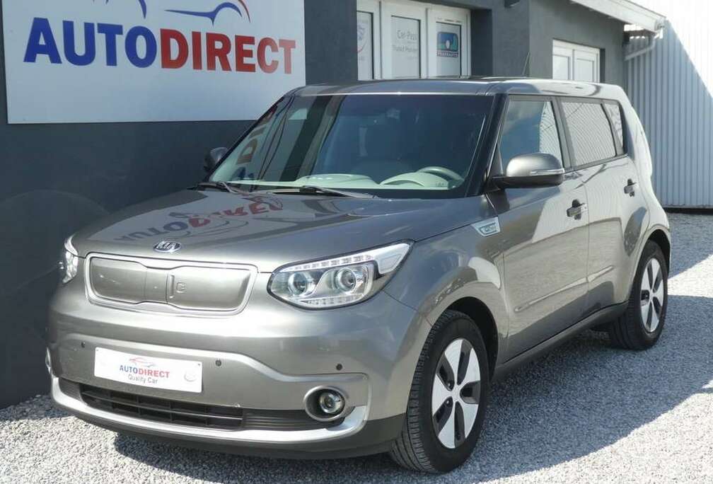 Kia 30 kWh Automaat Navi, Camera, Bluetooth, PDC