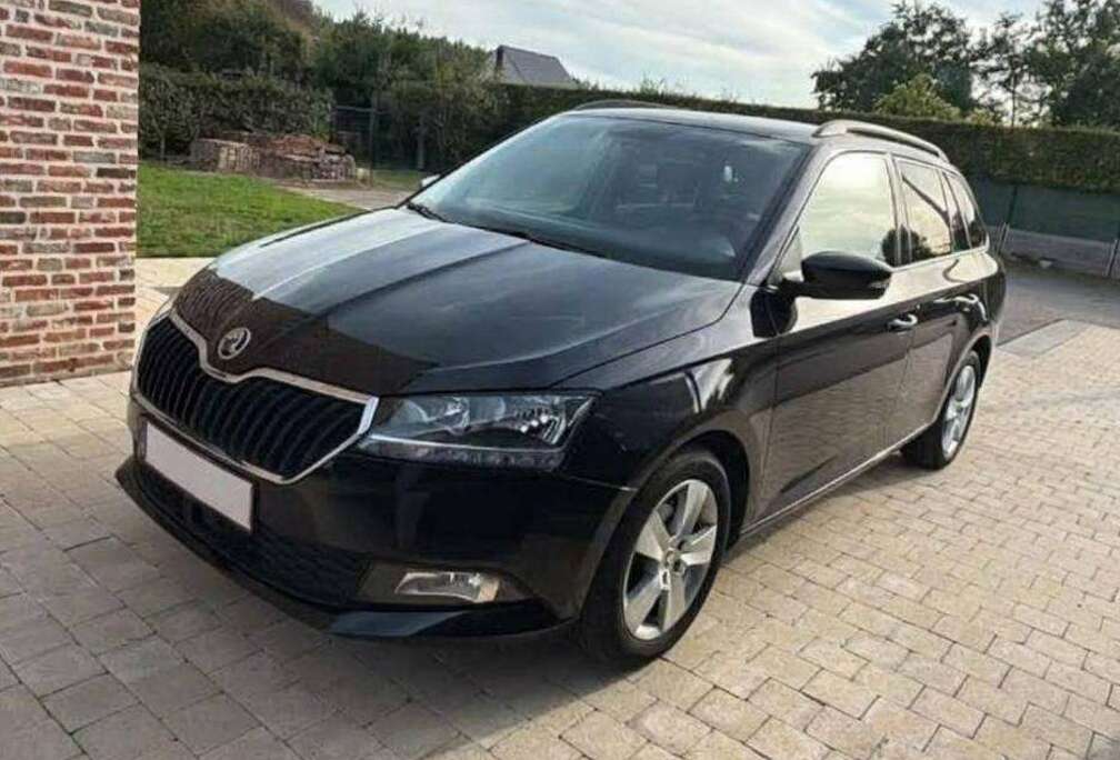 Skoda SW 1.0 TSI Ambition (EU6AP)