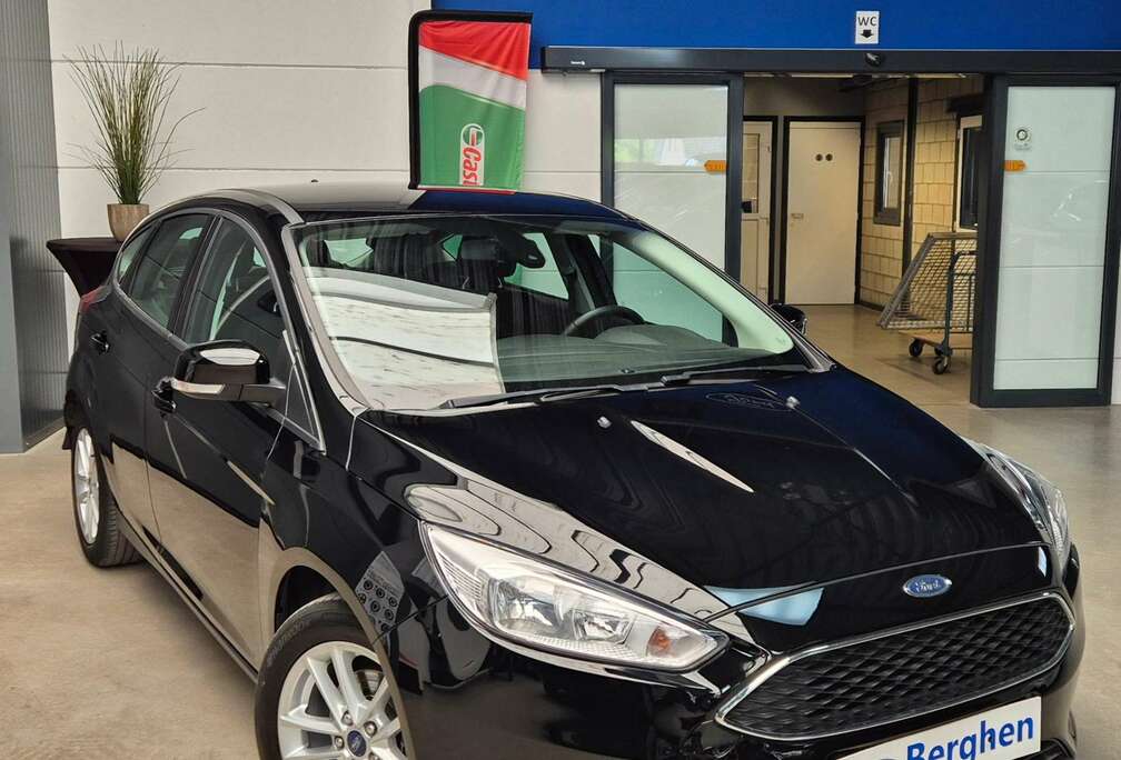 Ford Titanium