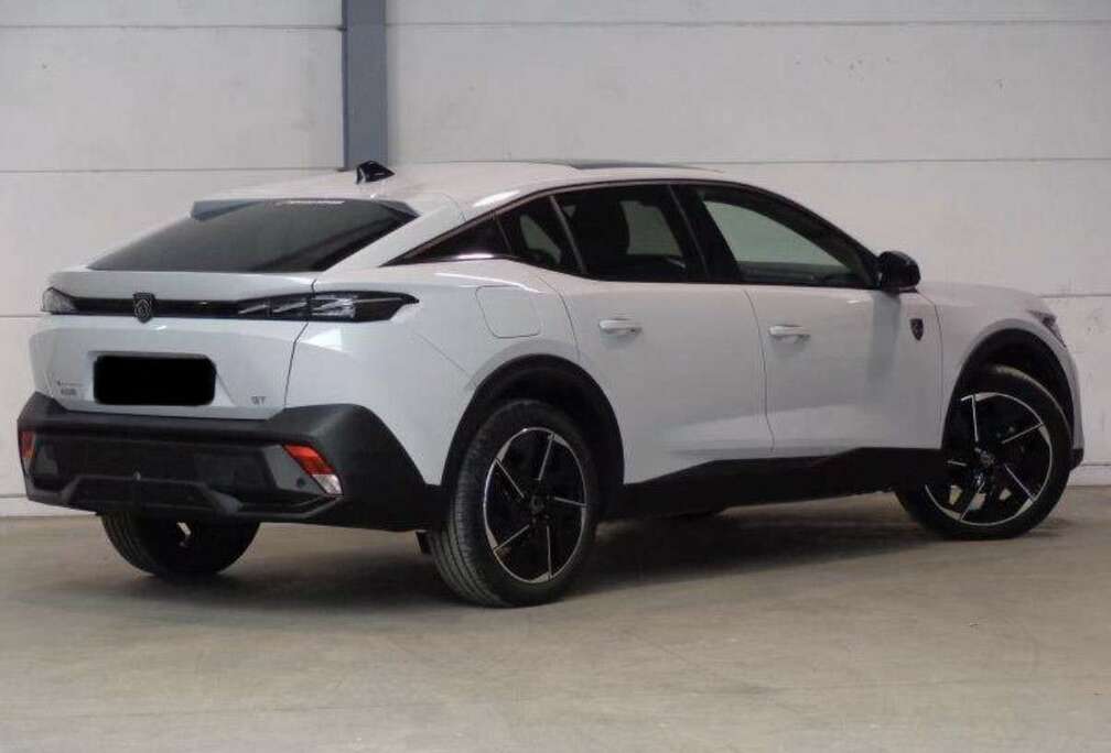Peugeot 1.2 Turbo MHEV Business S&S